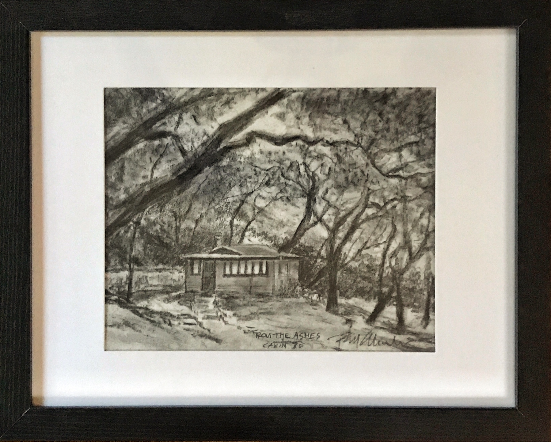 Cabin
                30