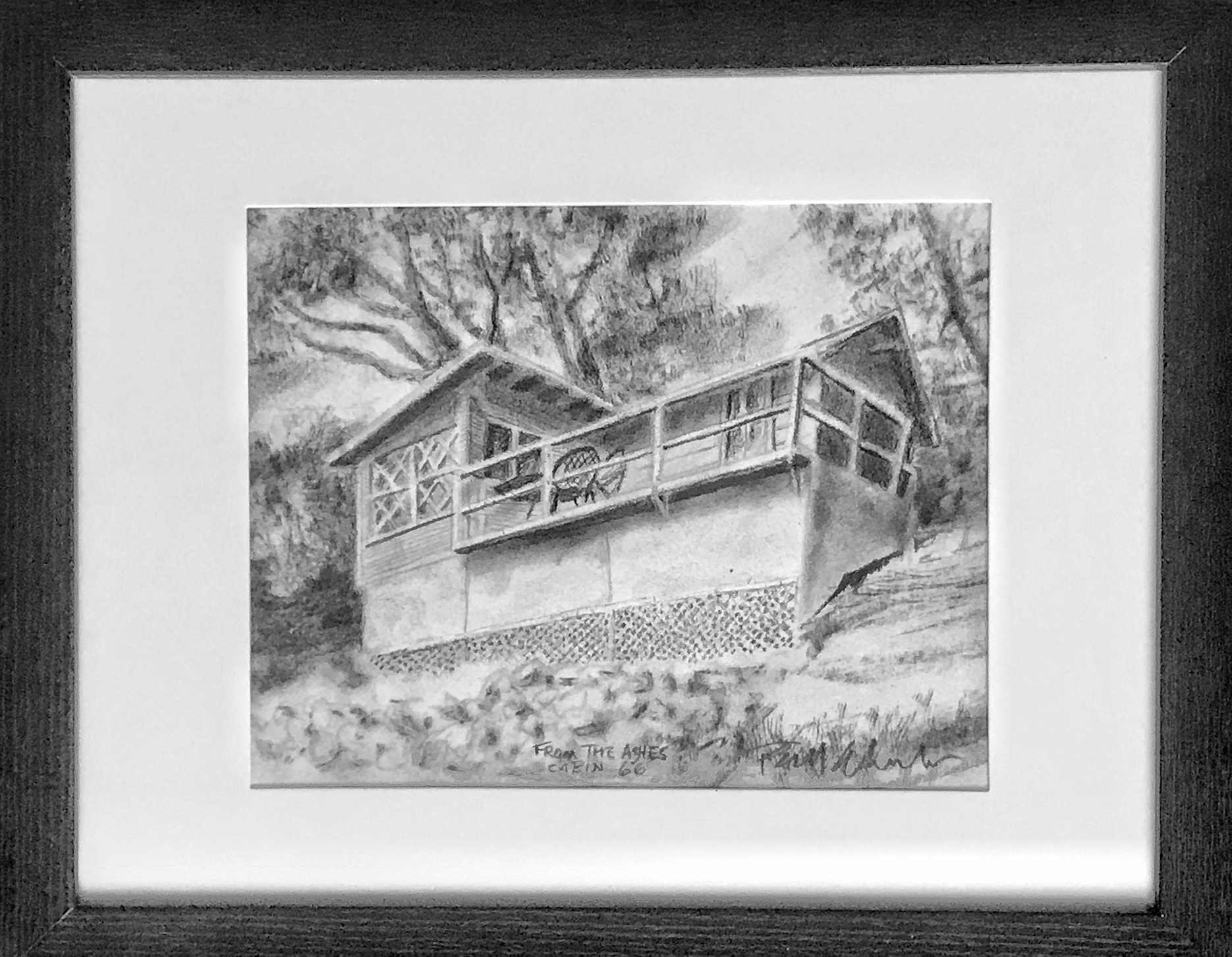 Cabin
                66